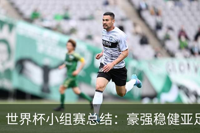 世界杯小组赛总结：豪强稳健亚足联9进2 真正的世界杯才刚开始