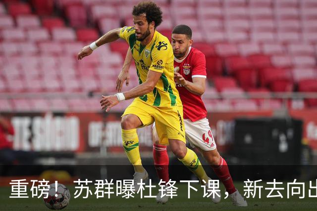 重磅！苏群曝杜锋下课，新去向出炉，球迷喊话杨鸣接手，能行吗？